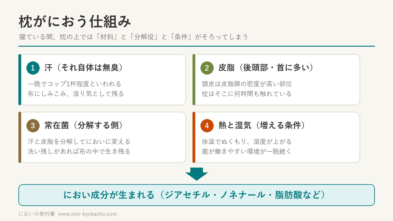 枕がにおう仕組みの図解：汗・皮脂・常在菌・熱と湿気の4条件がそろってにおい成分が生まれる