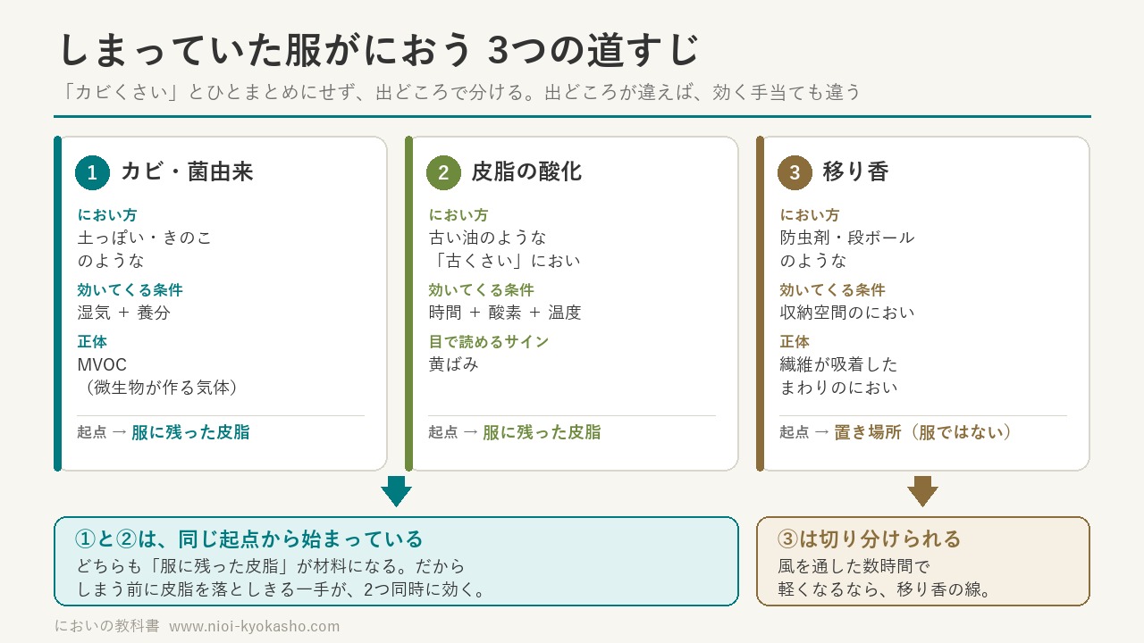 しまっていた服がにおう3つの道すじの図解：カビ由来のにおい・残った皮脂の酸化・収納空間からの移り香