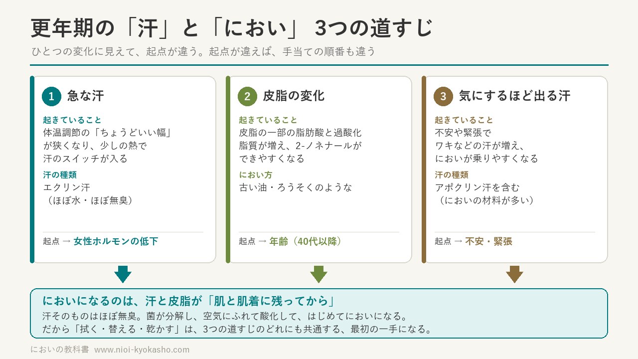 更年期の汗とにおいの3つの道すじの図解：女性ホルモンの低下による急な汗・年齢による皮脂の変化・不安や緊張で出る汗。どれも肌と肌着に残ってからにおいになる